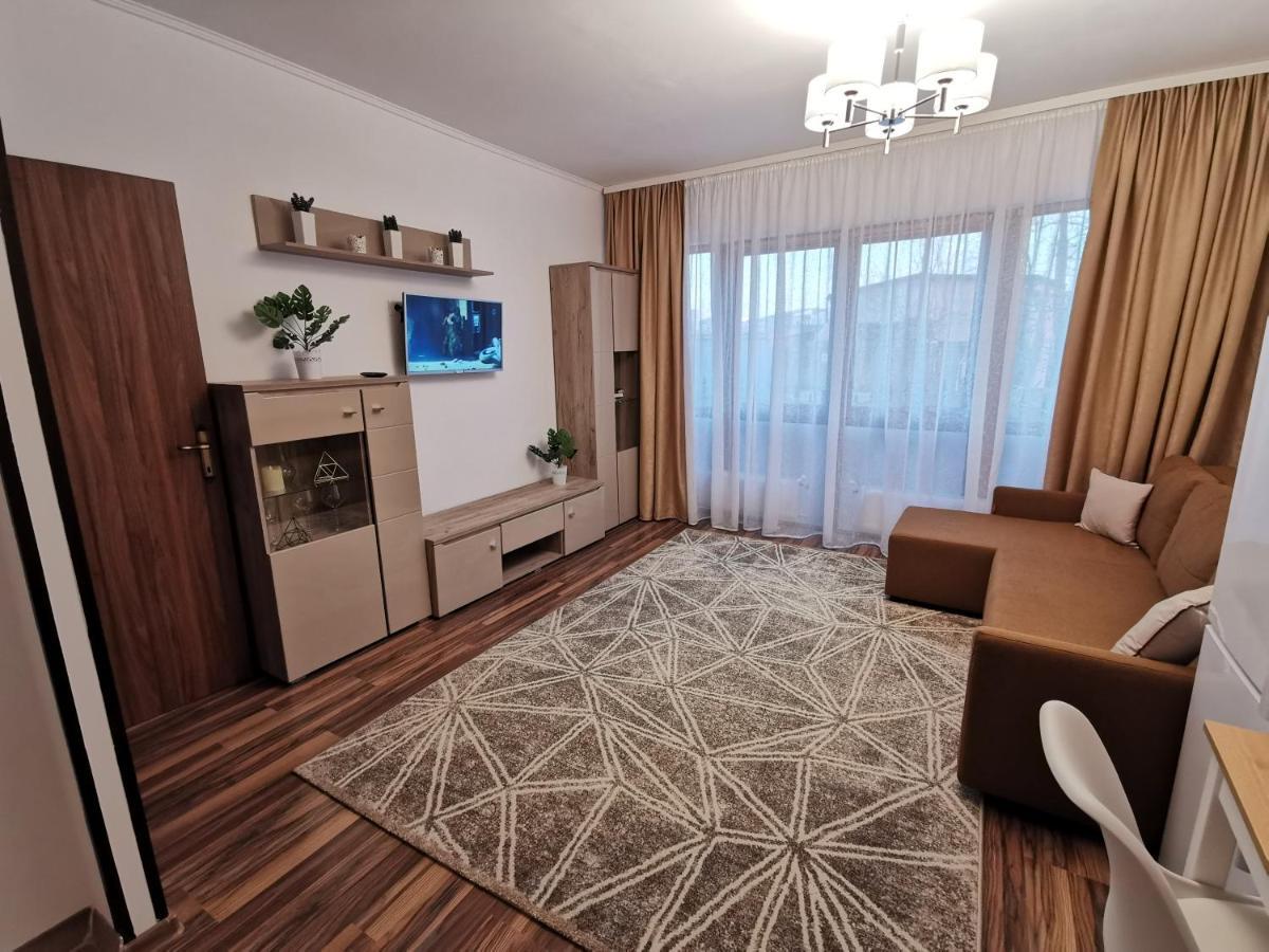 Charming Apartment In Villa Iasi Exterior photo