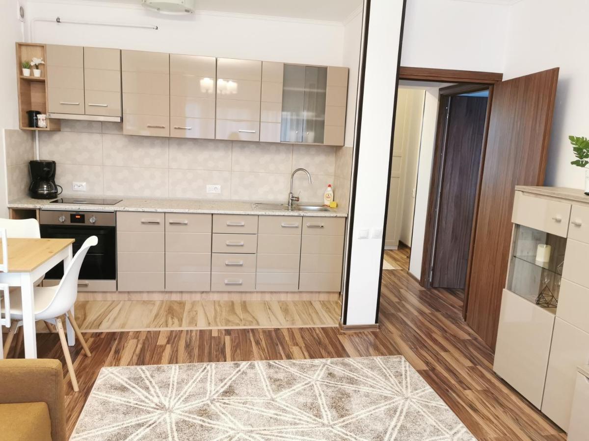 Charming Apartment In Villa Iasi Exterior photo